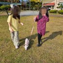 청웅초등학교 이미지