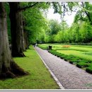 산소첼로 이미지