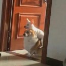 고양대로1315번길 네이버블로그