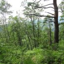 새덕산목장 이미지