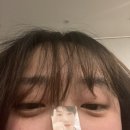동환농장 | 발렌타인기념으로 크게 한턱 쏩니다 (사진 511장 분량)