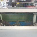 웰빙낙지마당 이미지