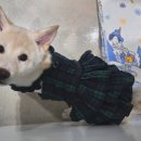 곰순이네 - 보령시 해수욕장9길 2-40 | 곰순이네