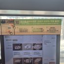 신도시로 | 검단신도시 맛집 – 한마음정육식당 검단신도시점 방문 후기