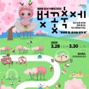 강서 낙동강30리 벚꽃축제(2025년) 티스토리