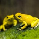 태평공원 이미지