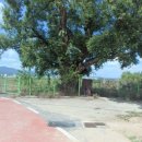 두실경로당 이미지