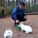 토월약수터 네이버블로그