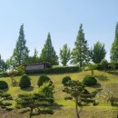 초록산 산림욕장 2 네이버블로그