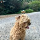 연둔리 숲정이 주차장 공중화장실 | 화순여행) 동복 연둔리 숲정이 산책 / 전남 화순 가볼만한곳 자연명소 둔동마을