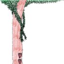 아낌없이주는나무 - 연수구 컨벤시아대로 50 | 아낌없이주는나무