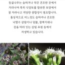 짚신 - 강남구 강남대로78길 14 | 짚신