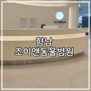 조이동물병원 | 향남동물병원 조이앤동물병원 고양이 진료 후기