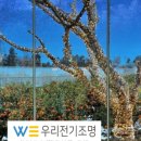 태연8289 풀 리조트 이미지