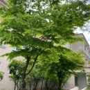 풍요로움공인중개사사무소 이미지