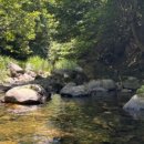 금수강산막국수숯불닭갈비 이미지