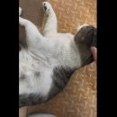 그린자동차 | 그린자동차운전학원 후기 (with. 공군 운전병 준비)