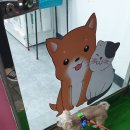 까까 주시개 이미지