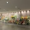 부산 웨딩홀투어 후기 _ W웨딩 더펄, W스퀘어, 연금, 더에스홀, 벡스코 예식장 투어