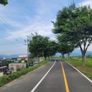 명례성지화장실 이미지