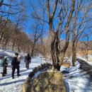 운수암 등산로 이미지