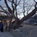 죽파리 경로당 이미지