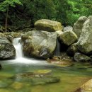 동원펜션민박 | 다자녀 가족 여름방학 계곡 추천 (넓은 공간, 주차, 부대시설)