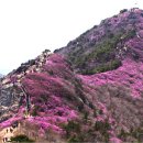 둔덕7길 이미지