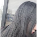 애쉬그레이 카카오 검색결과