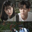 묘한 하루 이미지