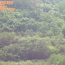 봉황보건진료소 이미지