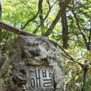 2026년 5월15~17일 제주도 한라산 1950m 산행거리17키로 산행시간8시간^~^ 이미지