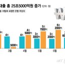 수도권 집값 밀어내기 &#39;주범&#39; 따로있다…주담대 80%는 정책성대출 이미지