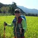 문호약국 이미지