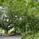 동호마을 이미지