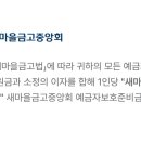 새서울청과