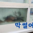 봉곡회식당 이미지