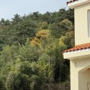 하얀목장 | 우리집 울타리 완성! 전원주택 양떼목장 스타일 하얀 울타리 직접 설치 후기