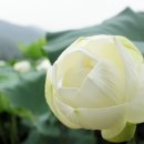 고양농장 이미지