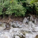 영평상동 마을회관 이미지