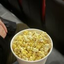 데레사약국 | [3월 일상] 3월에 나는 -