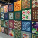 나도코리아 이미지