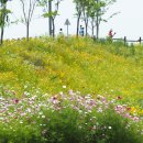 배곧생명공원 이미지