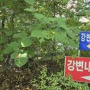 생자연 이미지