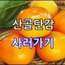 산골단감농원