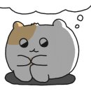 어반플랜트 수영 이미지