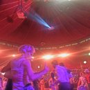 까호(carreau) 이미지