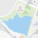 26년 4월 5일 오송 호수공원 벚꽃 만개