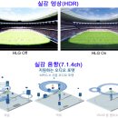 신년 특별 연재→6(9)년차 '지상파 UHD방송'-③ 이미지