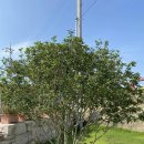 법정스님마을도서관 이미지